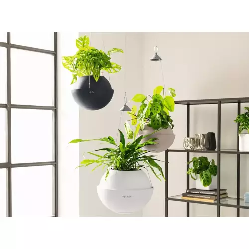 Wiszące doniczki w różnych rozmiarach